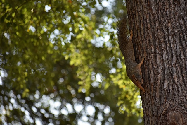 需要在短时 需要在短时