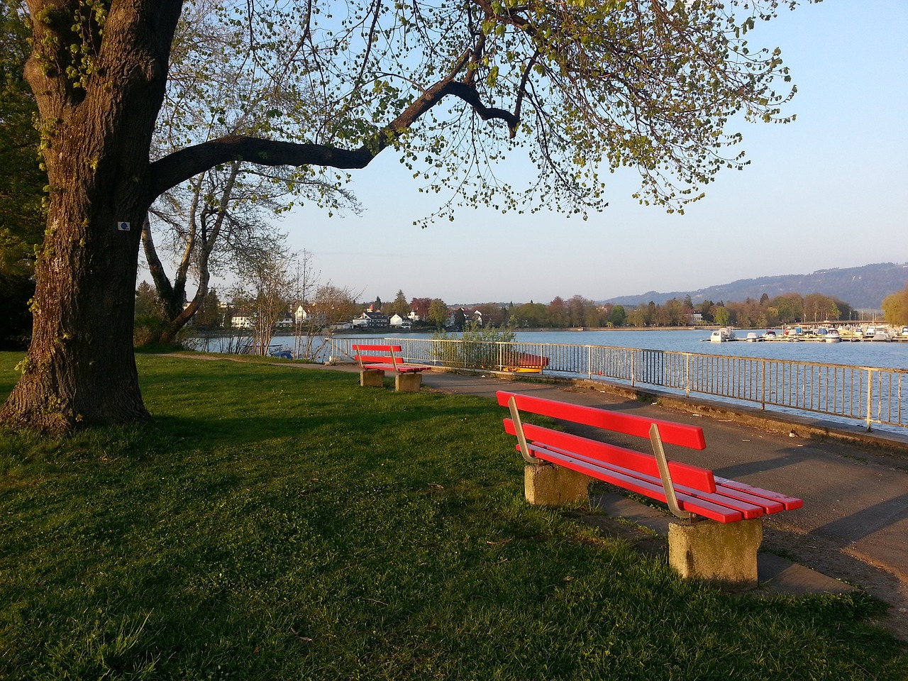 在全球足坛 在全球足坛